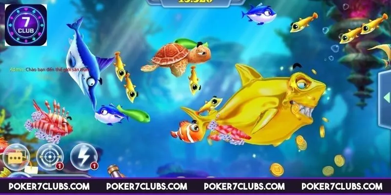 ban-ca-tieu-tien-ca-he-sinh-thai-sinh-vat