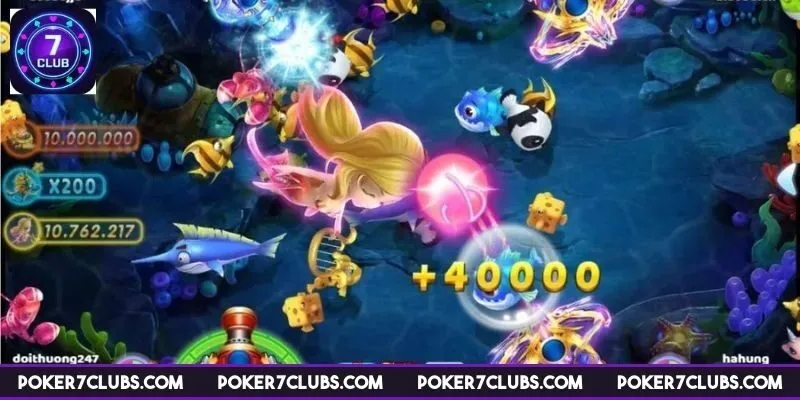 ban-ca-tieu-tien-ca-meo-nang-cao-ky-nang